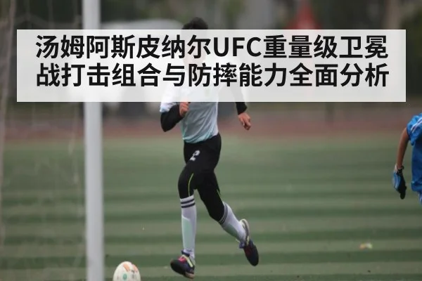 汤姆阿斯皮纳尔UFC重量级卫冕战打击组合与防摔能力全面分析